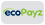 Ecopayz mini